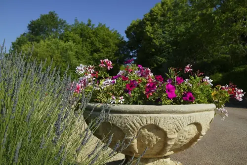 Campsite Domaine de la Paille Basse - Soulliac, Dordogne, France