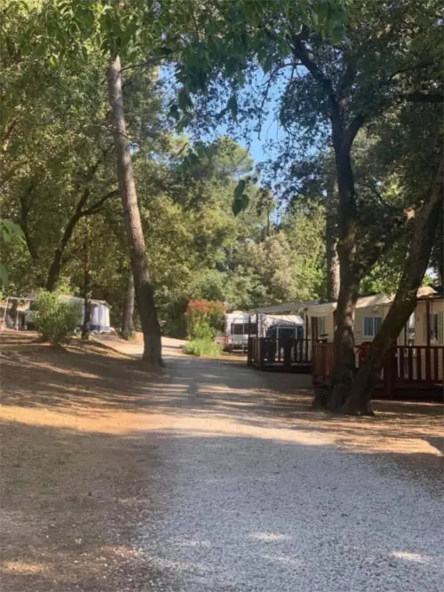 Campsite La Foux - Draguignan, Côte d'Azur, Southern France