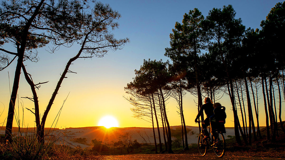 Campsite Le Vieux Port - Messanges, Nouvelle-Aquitaine, Southern France