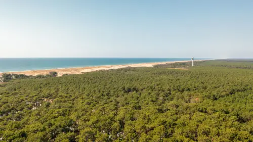 Campsite Le Vieux Port - Messanges, Nouvelle-Aquitaine, Southern France