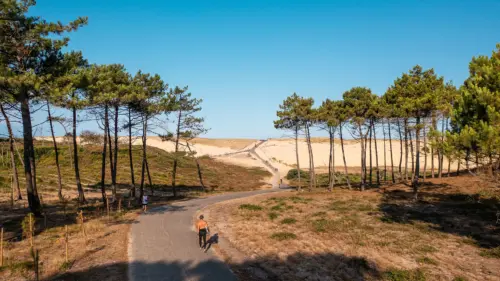 Campsite Le Vieux Port - Messanges, Nouvelle-Aquitaine, Southern France