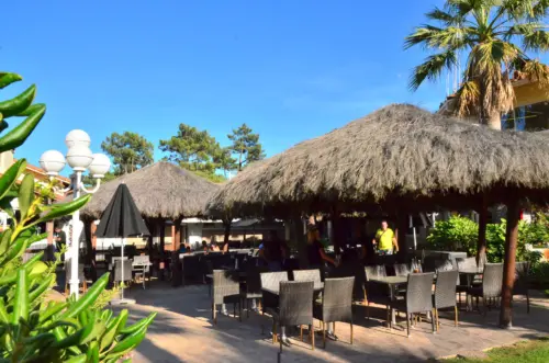 Campsite Le Vieux Port - Messanges, Nouvelle-Aquitaine, Southern France