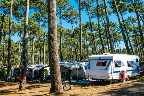 Campsite Le Vieux Port - Messanges, Nouvelle-Aquitaine, Southern France