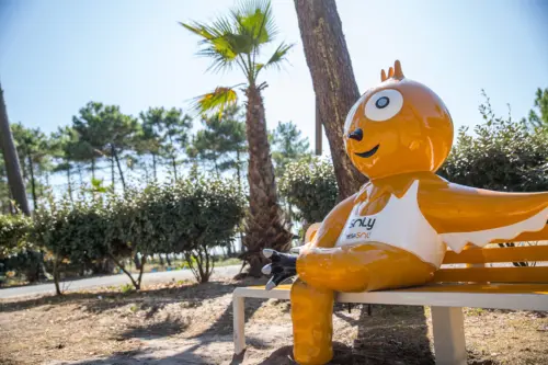 Campsite Le Vieux Port - Messanges, Nouvelle-Aquitaine, Southern France