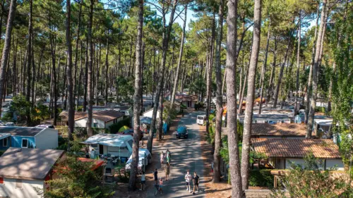 Campsite Le Vieux Port - Messanges, Nouvelle-Aquitaine, Southern France