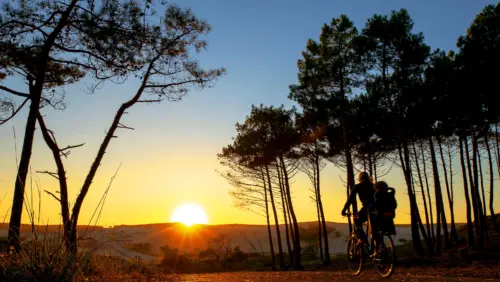 Campsite Le Vieux Port - Messanges, Nouvelle-Aquitaine, Southern France