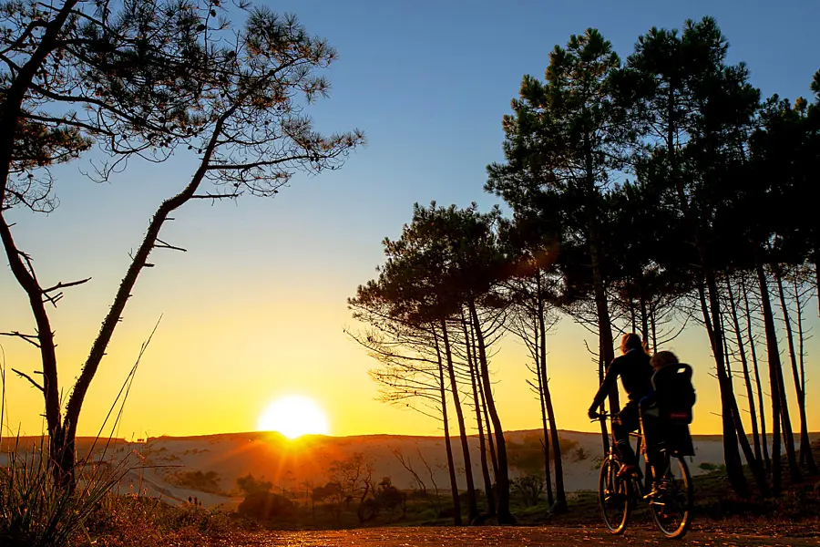 Campsite Le Vieux Port - Messanges, Nouvelle-Aquitaine, Southern France
